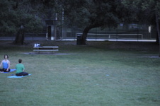 Enlarge photo 223