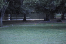 Enlarge photo 224