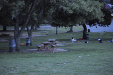 Enlarge photo 225