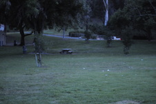 Enlarge photo 226