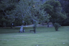 Enlarge photo 227