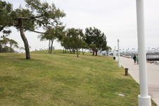 Enlarge photo 30