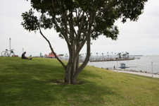 Enlarge photo 51
