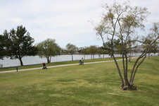 Enlarge photo 55