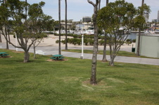 Enlarge photo 57