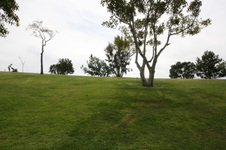 Enlarge photo 60