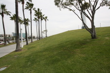 Enlarge photo 61