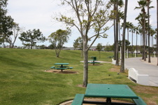 Enlarge photo 62