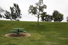 Enlarge photo 66