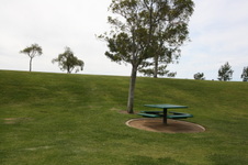 Enlarge photo 69