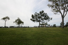 Enlarge photo 70