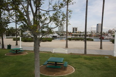 Enlarge photo 71