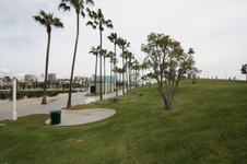 Enlarge photo 72
