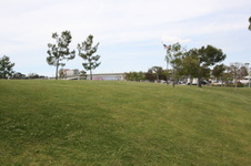 Enlarge photo 73