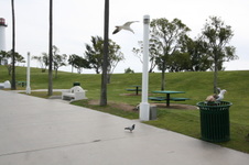 Enlarge photo 75