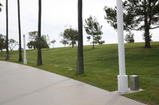 Enlarge photo 80