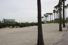 Enlarge photo 81