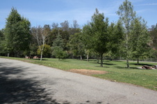 Enlarge photo 39