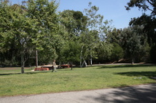 Enlarge photo 40