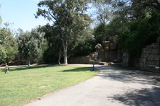 Enlarge photo 42