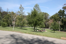 Enlarge photo 54