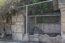 Enlarge photo 59