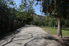 Enlarge photo 62