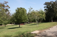 Enlarge photo 64