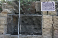 Enlarge photo 65