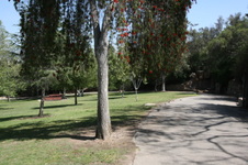 Enlarge photo 67