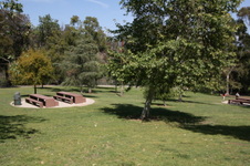 Enlarge photo 68