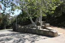 Enlarge photo 71