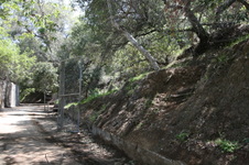 Enlarge photo 75