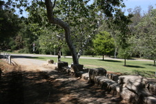 Enlarge photo 76
