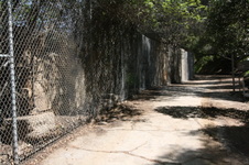 Enlarge photo 77