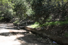 Enlarge photo 78