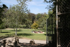 Enlarge photo 81