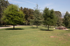 Enlarge photo 82