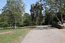 Enlarge photo 83