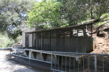 Enlarge photo 91