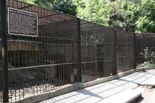 Enlarge photo 94
