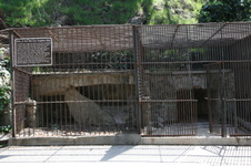 Enlarge photo 95