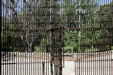 Enlarge photo 97
