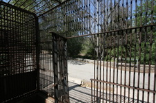 Enlarge photo 99