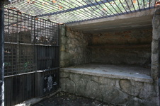 Enlarge photo 103