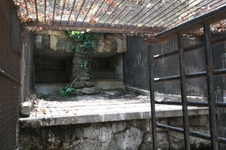 Enlarge photo 107