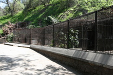 Enlarge photo 109
