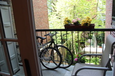 Enlarge photo 10