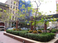 Enlarge photo 13