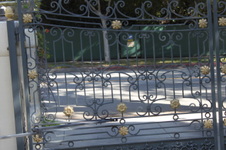Enlarge photo 24